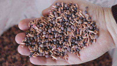 "Tohumculukta hiçbir ülkeye bağımlı değiliz"