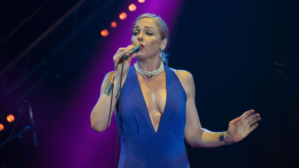 Pink Martini, Türkiye'ye geliyor