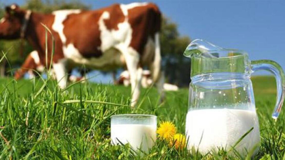 Toplanan inek sütü miktarı martta azaldı