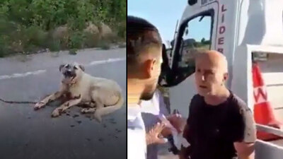 Yolunu kesip kurtardılar!