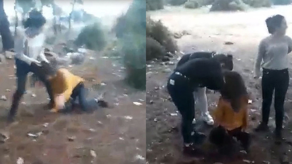 Ormanda dayak dehşeti! 'İlk kez adam kesip biçmiyoruz'