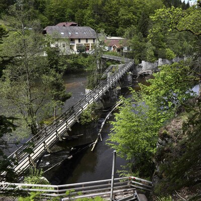 Almanya'daki ölümlerde 'tatar yayı' detayı!