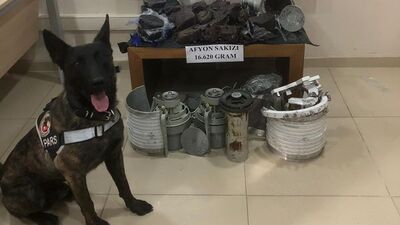 Hakkari'de uyuşturucu operasyonu