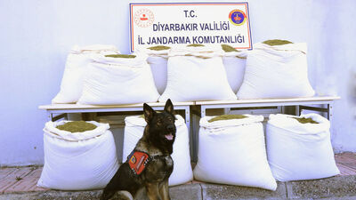 Diyarbakır'da ele geçti: 346 kilo