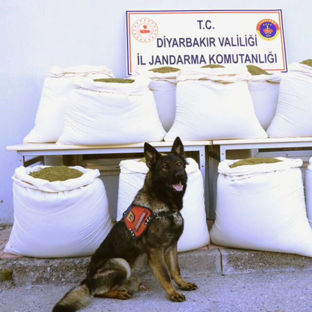 Diyarbakır'da ele geçti: 346 kilo
