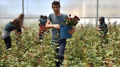 Bu okulda geleceğin seracıları yetiştiriliyor