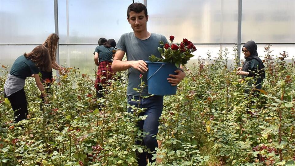 Bu okulda geleceğin seracıları yetiştiriliyor