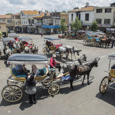 Adalar'da atlı faytonlar ne olacak?