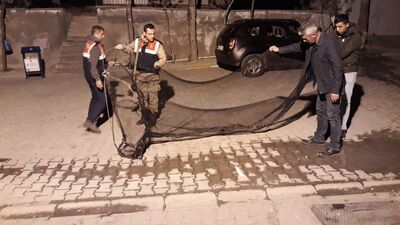 Van'da denetim! Tam 1 ton 200 kilo ele geçirildi