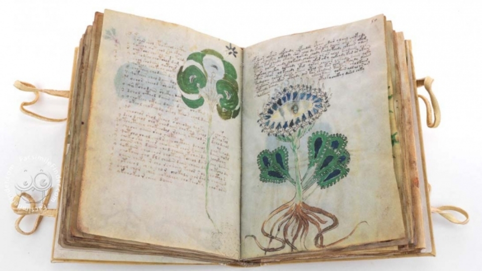 Voynich el yazmasını geçen yıl da Türkler çözmüştü!