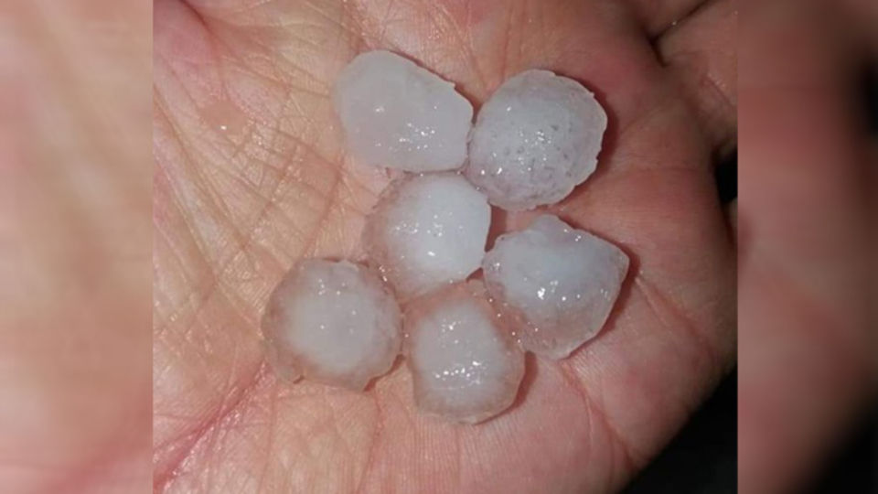 Manisa'da dolu tarım arazilerine zarar verdi