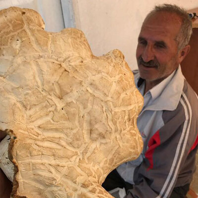 Erzincan'da bulundu!