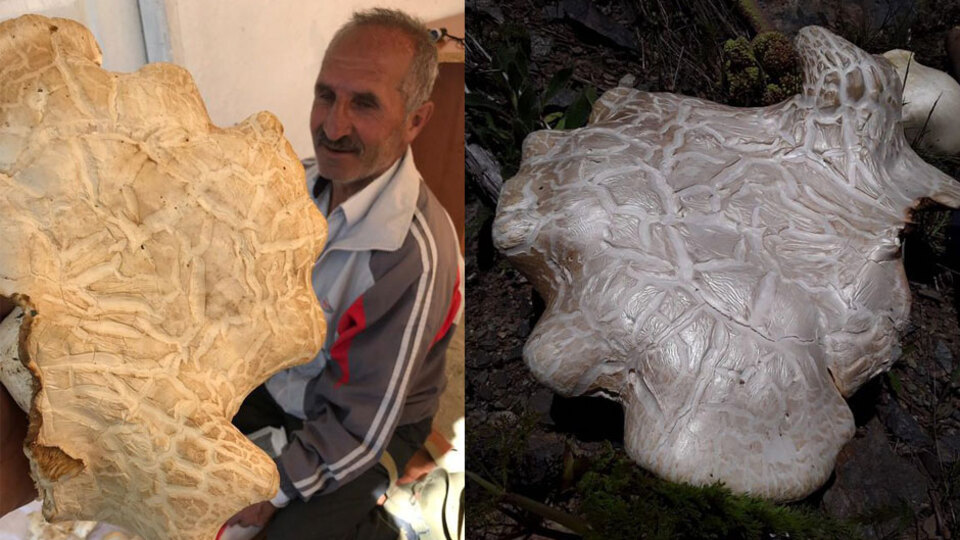 Erzincan'da bulundu!