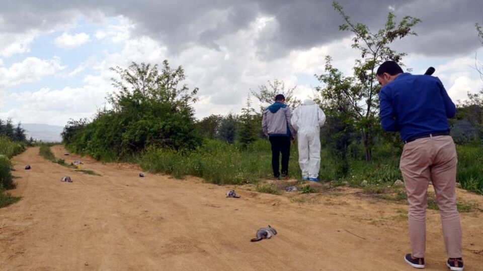 Ankara'da katliam! Bir kısmı can çekişirken bulundu