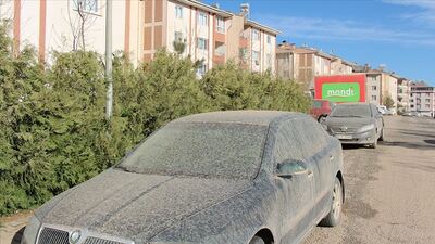 Türkiye'ye ulaştı! Bir hafta sürecek