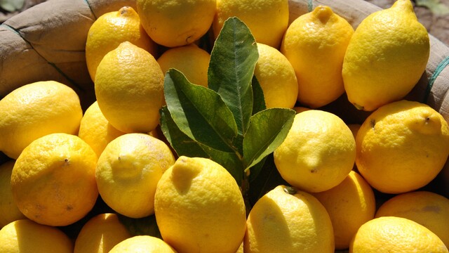 En çok limonun fiyatı arttı