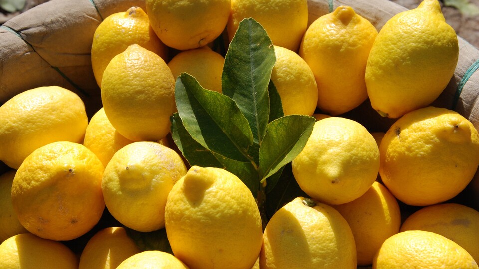 En çok limonun fiyatı arttı