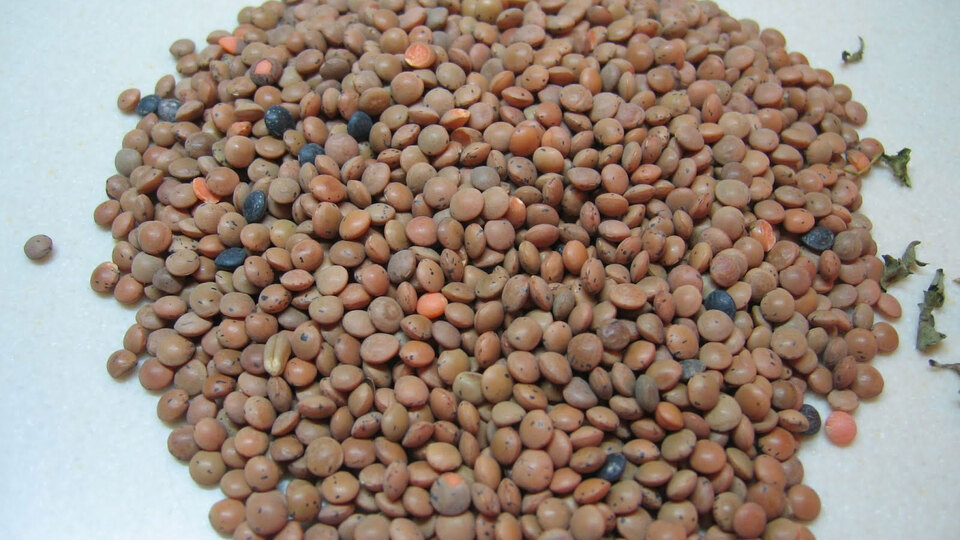 Resmi açıklama geldi! 26 yıl sonra ilk kez alınacak