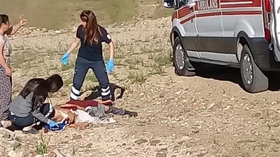 15 köpek saldırdı! Kurtarılamadı