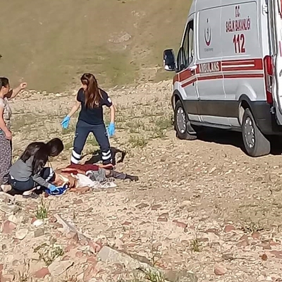 15 köpek saldırdı! Kurtarılamadı