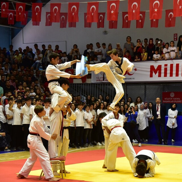 Aerobik Cimnastik Avrupa Şampiyonası