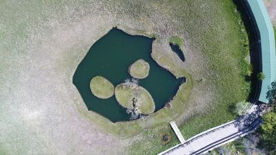 Dünyada eşi benzeri yok!