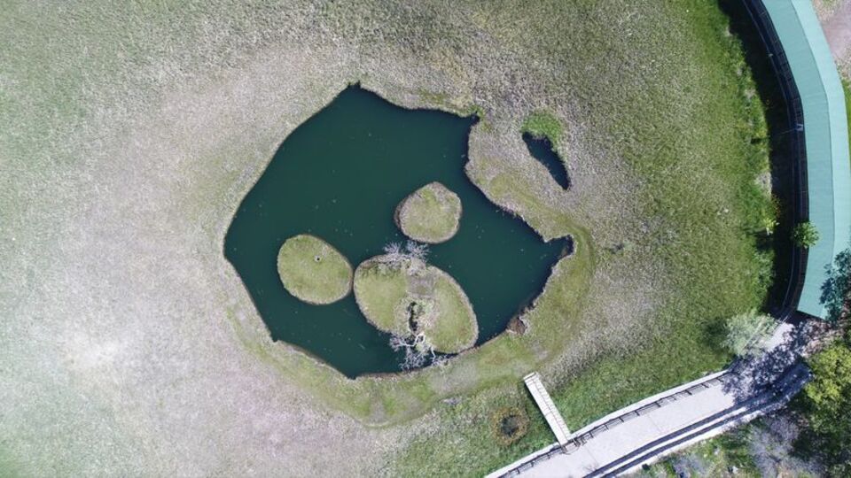 Dünyada eşi benzeri yok!