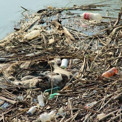 Yediklerimiz bu suyla yetiştiriliyor!