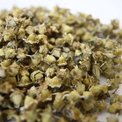 Kendisi küçük etkisi büyük!