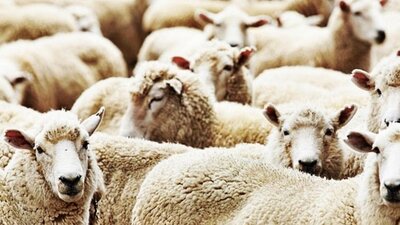 Kurban Bayramı ne zaman?