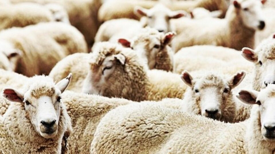 Kurban Bayramı ne zaman?