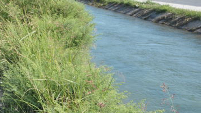 5 yaşındaki Seyyid su kanalında boğuldu