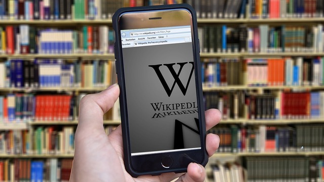 Wikipedia AİHM'e başvurdu