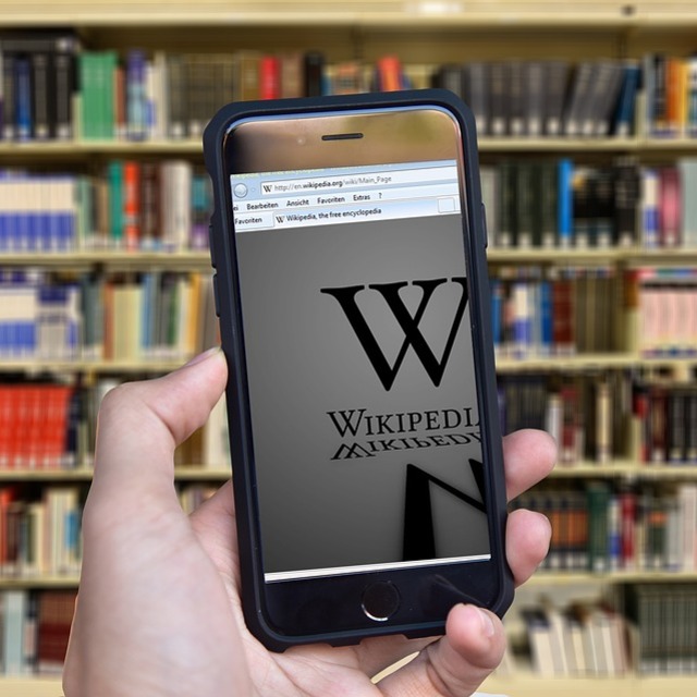 Wikipedia AİHM'e başvurdu