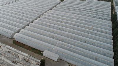 "Tarıma yönelik kredi paketiyle gıda enflasyonu dengelenir"