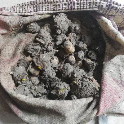 Bu çuvalın bedeli 240 bin TL oldu