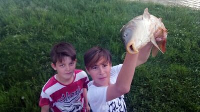 Kastamonu'da sıra dışı av tekniği!