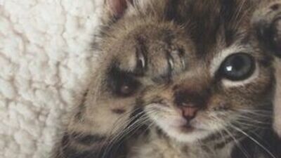 En güzel ve anlamlı günaydın mesajları