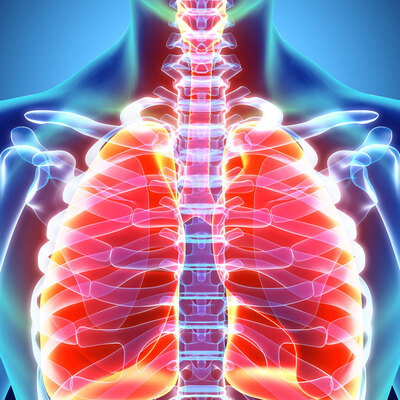 Günde 1 tane sigara bakın vücuda ne yapıyor?