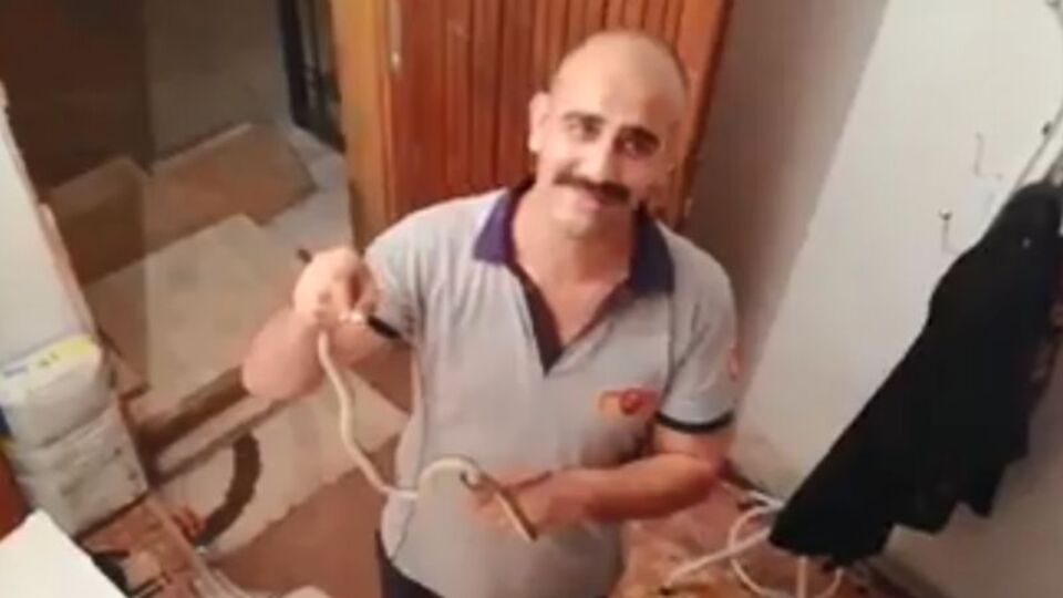 Yılanlar evi bastı