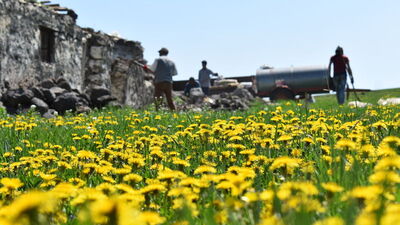 Kars'ta yayla hazırlığı