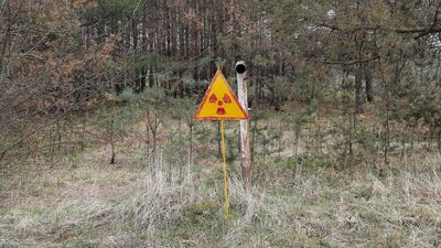 Tonlarca radyasyonlu çay ne oldu?