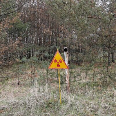 Tonlarca radyasyonlu çay ne oldu?