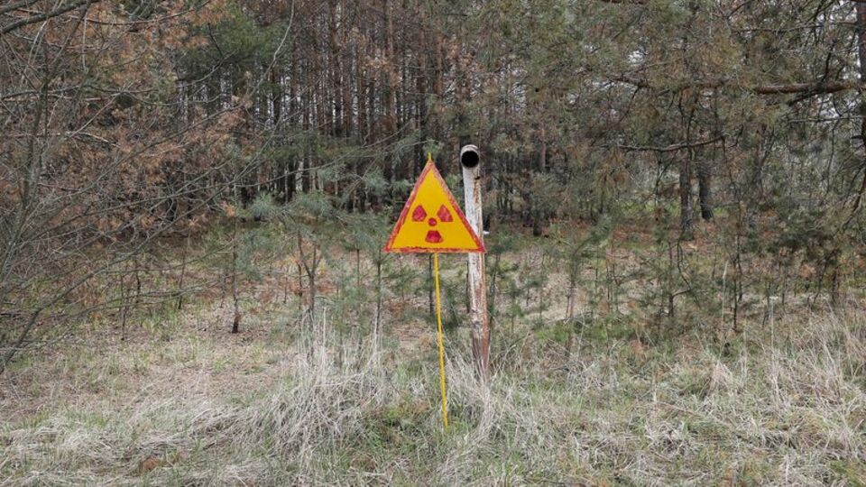 Tonlarca radyasyonlu çay ne oldu?