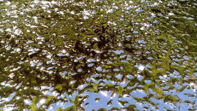 Ovit yolunda şaşırtan görüntü: Eridi!