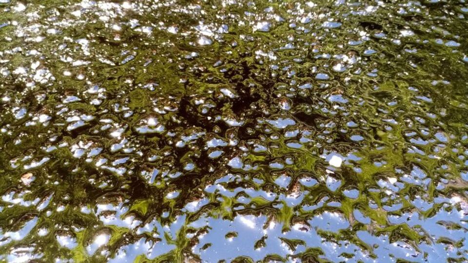 Ovit yolunda şaşırtan görüntü: Eridi!