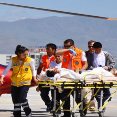 Ayı saldırdı, 'devlet önlem almadı' diye dava açtı