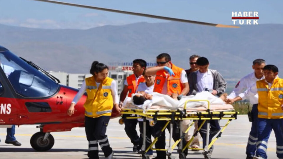 Ayı saldırdı, 'devlet önlem almadı' diye dava açtı