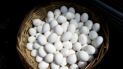 Irak yasak getirdi, fiyatlar yüzde 50 düştü