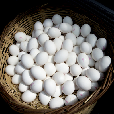 Irak yasak getirdi, fiyatlar yüzde 50 düştü